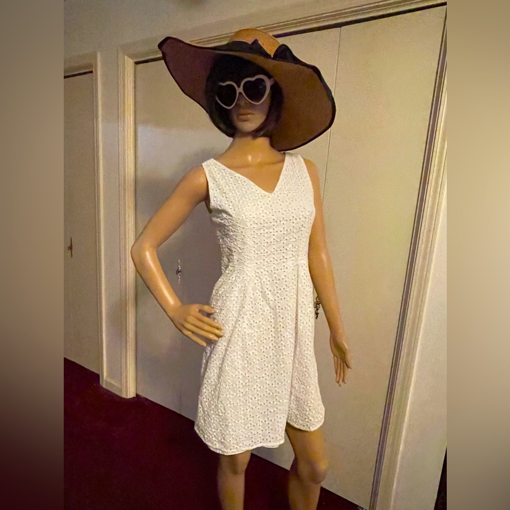 Ann Taylor Factory Eyelet A Line Dress